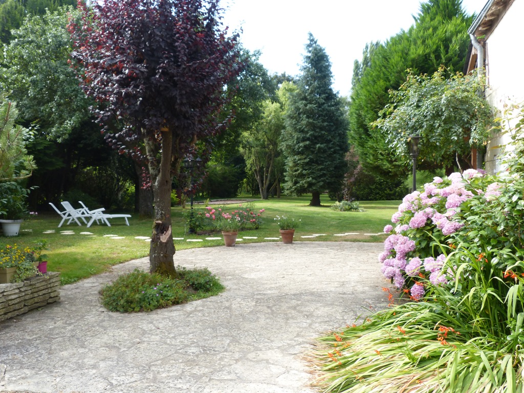 Gîte Les Clématites Chouzé-sur-Loire : le parc
