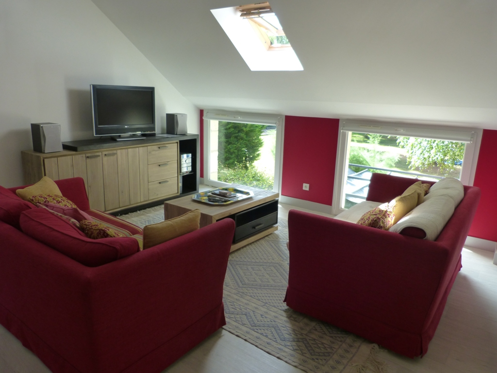 Gite Les Clématites Chouzé-sur-Loire : piece a vivre avec vue sur parc